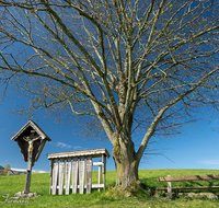 fileadmin/roha/Interessantes-in-Kurzform/ab-4-2021/KKKM-TEIS-BERG-0019-05-D-roha-Weg-Kreuz-Teisendorf-Brunnmeister-Bank-Baum-Totenbretter-_002_.png