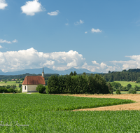 fileadmin/roha/images_galerie/orte_landschaft/Waging/LANDS-TACH-COL-0008-D-roha-Landschaft-Tachinger-See-St-Coloman-Landwirtschaft.png