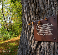 fileadmin/roha/images_galerie/orte_landschaft/Schleching/SCHLECH-RAITEN-0003-D-roha-Schleching-Raiten-Kirche-Baum-Tafel.png