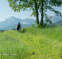 fileadmin/roha/images_galerie/Freizeit-Sport/E-Bike/SPO-E-BIKE-0001-D-roha-Sport-E-Bike-Teisendorf-Hochstaufen-Karlsbach.png