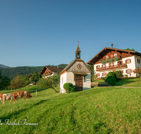 fileadmin/roha/images_galerie/kirche_religion/Anger/AN-STOISSB-0002-D-roha-Anger-Stoissberg-Landwirtschaft-Bauernhaus-Vieh-Kapelle.png