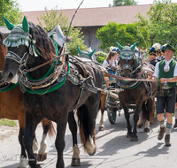 fileadmin/roha/images_galerie/brauchtum/Leonhardiritt/Holzhausen_01/Holzhausen-Ritt-2019/BR-PFRI-HOLZ-2019-1042-02-D-roha-Brauchtum-Pferdeumritt-Leonhardiritt-Holzhausen-Teisendorf-Pferd.png