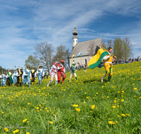 fileadmin/roha/images_galerie/brauchtum/Leonhardiritt/Traunstein-Georgiritt/BR-PFRI-TRAUNST-2019-1053-02-D-roha-Brauchtum-Pferdeumritt-Georgiritt-Traunstein-Ettendorfer-Kircherl.png