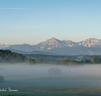 fileadmin/roha/images_galerie/orte_landschaft/Haarmoos/HAARM-0034-0-05-D-roha-Abtsdorf-Haarmoos-Fruehling-Nebel-Hochstaufen-Zwiesel.png