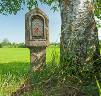 fileadmin/roha/images_galerie/kirche_religion/Neukirchen/KKKM-NEUK-BACH-0001-D-roha-Bildstock-Maria-mit-dem-Jesuskind-Neukirchen-Bach-Birke.png