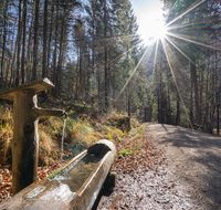 fileadmin/roha/images_galerie/orte_landschaft/Inzell/LANDA-BRUN-FRILLS-0013-D-roha-Landart-Brunnen-Frillensee-Wasser-Inzell-Stimmung.png