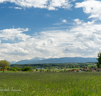 fileadmin/roha/images_galerie/orte_landschaft/Waging/WAG-SEE-0005-01-1-D-roha-Waginger-See-Bicheln-Untersberg-Hochstaufen-Zwiesel.png