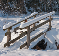 fileadmin/roha/images_galerie/Winter/AINR-MOOR-WIN-0008-D-roha-Ainring-Moor-Winter-Schnee-Steg-Bruecke-Moorgraben.png