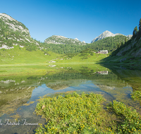 fileadmin/roha/images_galerie/orte_landschaft/Berchtesgaden/Nationalpark_Klausbachtal_Wimbachtal_-Klamm/BGD-NAT-FUNT-0005-01-D-roha-Berchtesgaden-Nationalpark-Funtensee-Almhuette-Kaerlingerhaus.png