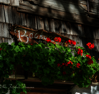 fileadmin/roha/images_galerie/orte_landschaft/Inzell/INZ-BAECK-ALM-0009-D-roha-Inzell-Baeckeralm-Blumenschmuck-Geranien.png