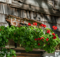 fileadmin/roha/images_galerie/orte_landschaft/Inzell/INZ-BAECK-ALM-0009-D-roha-Inzell-Baeckeralm-Blumenschmuck-Geranien.png