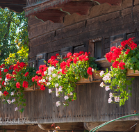 fileadmin/roha/images_galerie/Architektur-Bundwerk/LANDA-BLUMENSCHM-0044-D-roha-Landart-Blumenschmuck-Bauernhaus-Balkon-Wimmern-Teisendorf-Holzblock.png