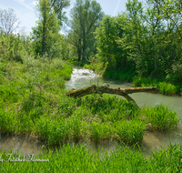 fileadmin/roha/images_galerie/orte_landschaft/Saaldorf/LANDS-SAAL-SUR-MITTG-0002-D-roha-Landschaft-Saaldorf-Surheim-Mittergraben-Wasser.png