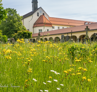 fileadmin/roha/images_galerie/orte_landschaft/Laufen/Klosterfriedhof/LAUF-KAPUZ-KI-0020-D-roha-Laufen-Kapuzinerkloster-Friedhof-Blumenwiese.png