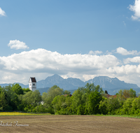 fileadmin/roha/images_galerie/orte_landschaft/Saaldorf/SAAL-SURH-0010-D-roha-Saaldorf-Surheim-Hochstaufen-Zwiesel-Blumenwiese.png