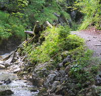 fileadmin/roha/images_galerie/orte_landschaft/Schneizlreuth/SCHNEILZL-WA-BA-WE-0013-D-roha-Schneizlreuth-Weissbach-Waldbahnweg-Weg.png