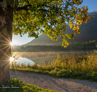 fileadmin/roha/images_galerie/orte_landschaft/Berchtesgaden/Ramsau/SON-AU-RA-HINT-0001-0731-D-roha-Sonnenaufgang-Ramsau-Hintersee.png