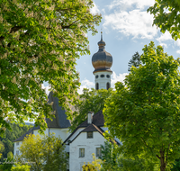 fileadmin/roha/images_galerie/orte_landschaft/Anger/Hoeglwoerth/AN-HOE-0097-A-07-D-roha-Anger-Hoeglwoerth-Kloster-Torhaus-Kastanie.png