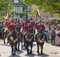 fileadmin/roha/images_galerie/brauchtum/Leonhardiritt/Holzhausen_01/BR-PFRI-HOLZ-0152-D-roha-Brauchtum-Pferdeumritt-Holzhausen-Teisendorf-Leonhardiritt-Pferd-Standarte.png