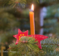 fileadmin/roha/images_galerie/brauchtum/Weihnachten/BR-WEIH-SCHMUCK-0077-D-roha-Brauchtum-Weihnachten-Schmuck-Christbaum-Berchtesgadener-War-Stern-Kerze.png