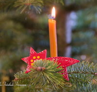 fileadmin/roha/images_galerie/brauchtum/Weihnachten/BR-WEIH-SCHMUCK-0077-D-roha-Brauchtum-Weihnachten-Schmuck-Christbaum-Berchtesgadener-War-Stern-Kerze.png