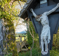 fileadmin/roha/images_galerie/kirche_religion/Teisendorf/KKKM-TEIS-KARLS-0030-01-D-roha-Wegkreuz-Teisendorf-Karlsbach-Baum.png