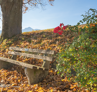 fileadmin/roha/images_galerie/orte_landschaft/Saaldorf/LANDA-BANK-SIL-0001-D-roha-Landart-Bank-Herbst-Sillersdorf.png