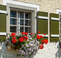 fileadmin/roha/images_galerie/Baum-natur-garten/Haus-Blumenschmuck-Deko/LANDA-FENST-BERG-BLUM-0004-D-roha-Landart-Fenster-Blumenschmuck.png