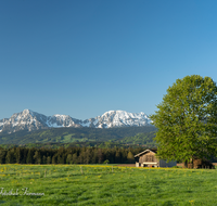 fileadmin/roha/images_galerie/orte_landschaft/Teisendorf/IN-LANDS-Teisendorf/LANDS-TEIS-PUN-0041-D-roha-Landschaft-Teisendorf-Punschern-Hochstaufen-Zwiesel-Landwirtschaft.png