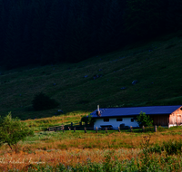 fileadmin/roha/images_galerie/orte_landschaft/Ruhpolding/RUH-ROETH-0020-D-roha-Ruhpolding-Roethelmoos-Alm-Wiese.png