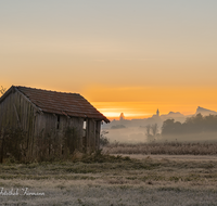 fileadmin/roha/images_galerie/orte_landschaft/Haarmoos/SO-AU-HAARM-0031-0736-D-roha-Sonne-Sonnenaufgang-Haarmoos-Nebel-Stadel-Abtsdorf.png