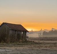 fileadmin/roha/images_galerie/orte_landschaft/Haarmoos/SO-AU-HAARM-0031-0736-D-roha-Sonne-Sonnenaufgang-Haarmoos-Nebel-Stadel-Abtsdorf.png