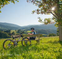 fileadmin/roha/images_galerie/Freizeit-Sport/Mountainbike-Radfahren/SPO-MOUN-ANG-0016-D-roha-Sport-Mountainbike-Radfahren-Anger-Hochstaufen-Zwiesel-Hoeglwoerth-Bank.png