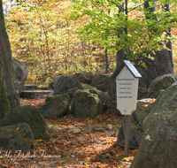 fileadmin/roha/images_galerie/orte_landschaft/Teisendorf/Geo-Park-Lehrpfad/TEI-GEOL-GAR-0010-D-roha-Teisendorf-Geologischer-Garten-Findlinge-Steine-Laub-Buche-Eiche.png