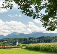 fileadmin/roha/images_galerie/orte_landschaft/Waging/WAG-SEE-0019-05-roha-Waging-Panorama-Hochstaufen-Zwiesel.png