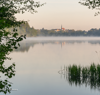 fileadmin/roha/images_galerie/orte_landschaft/Abtsdorf-Abtsdorfer-See/ABTS-SEE-0008-01-D-roha-Abtsdorfer-See-Leobendorf-Abtsdorf-Saaldorf-Laufen-Fruehling-Nebel.png