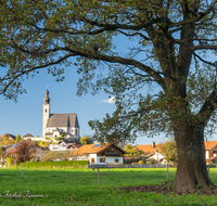 fileadmin/roha/images_galerie/orte_landschaft/Anger/Anger/AN-0020-04-D-roha-Anger-Kirche-Maria-Himmelfahrt.png