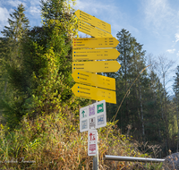 fileadmin/roha/images_galerie/Freizeit-Sport/Wandern/BGD-BISCH-HALLTH-0001-D-roha-Berchtesgaden-Bischofwiesen-Hallthurm-Wegweiser.png