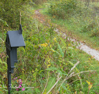 fileadmin/roha/images_galerie/kirche_religion/Tei-Wei-Rosenkranzweg/KKKM-TEI-WEI-ROS-02-0004-D-roha-Wegkreuz-Rosenkranz-Station-Elisabeth-Teisendorf-Weildorf-Weg.png