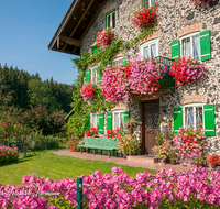 fileadmin/roha/images_galerie/architektur-Haeuser/LANDA-BLUMENSCHM-0008-1-D-roha-Landart-Blumenschmuck-Bauernhaus-Windbichl-Teisendorf.png