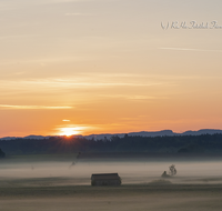 fileadmin/roha/images_galerie/Hintergrund-Download/1280x1024/SO-AU-HAARM-0015-04-D-roha-Sonne-Sonnenaufgang-Haarmoos-Nebel.png