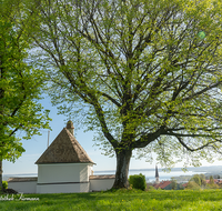 fileadmin/roha/images_galerie/kirche_religion/Bernau/CHIE-0003-01-D-roha-Chiemsee-Panorama-Huettenkirchen-Kapelle.png