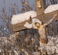 fileadmin/roha/images_galerie/kirche_religion/Anger/KKKM-ANG-HAINH-0005-D-roha-Wegkreuz-Anger-Hainham-Winter-Schnee-Christus.png