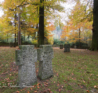 fileadmin/roha/images_galerie/kirche_religion/Laufen_-_Leobendorf/KKKM-LAUF-LEOB-UKR-0004-D-roha-Friedhof-Laufen-Leobendorf-Ukrainer-Kreuz-Gedenktafel-Herbst-Wald.png