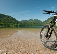 fileadmin/roha/images_galerie/Freizeit-Sport/Mountainbike-Radfahren/REIT-IM-WI-WEITS-0013-08-D-roha-Reit-im-Winkl-Weitsee-Herbst-Wasser-See-Mountainbike.png