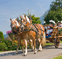 fileadmin/roha/images_galerie/brauchtum/Leonhardiritt/Inzell/BR-PFRI-INZ-0023-D-roha-Brauchtum-Pferdeumritt-Inzell-Michaeliritt-Pferd-Reiter.png