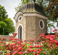 fileadmin/roha/images_galerie/Baum-natur-garten/Blumengarten-Blumen/KKKM-TEIS-FRIEDH-KR-0021-D-roha-Kirche-Friedhof-Teisendorf-Krieger-Denkmal-Rose.png