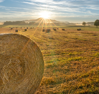 fileadmin/roha/images_galerie/Hintergrund-Download/2048x1152/SON-AU-SAAL-BRUEN-0001-0619-D-M-roha-Sonnenaufgang-Saaldorf-Bruennthal.png