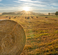 fileadmin/roha/images_galerie/Hintergrund-Download/2048x1152/SON-AU-SAAL-BRUEN-0001-0619-D-M-roha-Sonnenaufgang-Saaldorf-Bruennthal.png