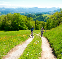 fileadmin/roha/images_galerie/Freizeit-Sport/Mountainbike-Radfahren/SPO-MOUN-TEIS-HOCHH-0003-D-roha-Sport-Moutainbike-Neukirchen-Hochhorn-Feldweg.png